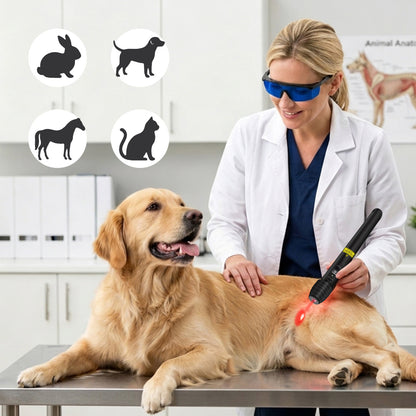 500mW 808nm Cold Laser Therapy Pen for Human and Pet Pain